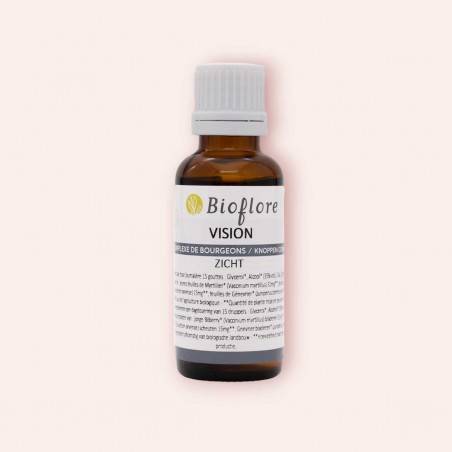 Vision bud complex