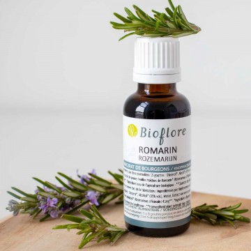 Macérat de bourgeons de Romarin BIO- Bioflore