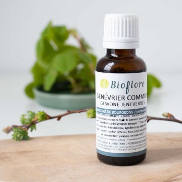 Macérat de bourgeons de Genévrier Bio - Bioflore
