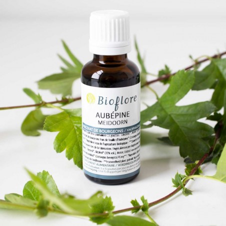 Macérat de bourgeons d’Aubépine BIO - Bioflore