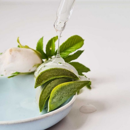 Moisturising and Replumping Rose Serum - organic