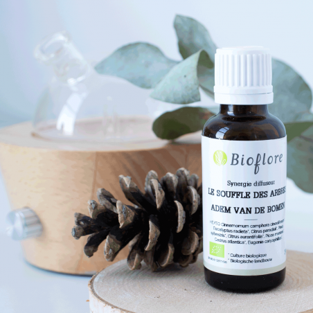 Le Souffle des arbres Synergie bio rafraîchissante prête à l'emploi