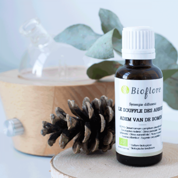 Le Souffle des arbres Synergie bio rafraîchissante prête à l'emploi