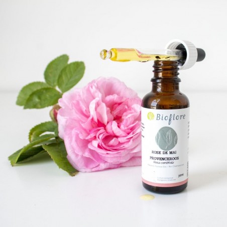Macérat solaire de rose de mai bio dans de l'huile de jojoba