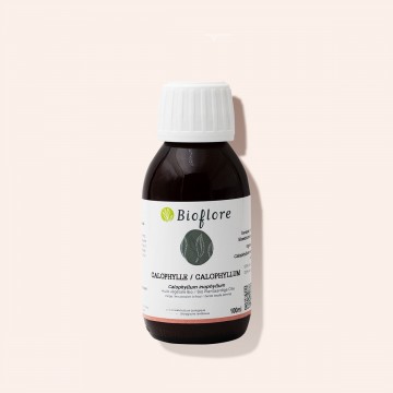 Notre huile végétale de Calophylle vierge bio pour des jambes légères