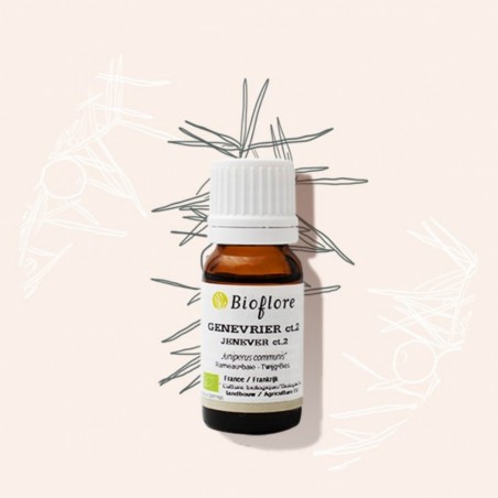 L'huile essentielle de genévier baies et rameaux bio, antirhumatismale