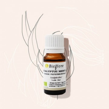 Huile essentielle d'eucalyptus mentholé bio pour la respiration