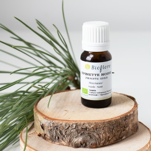 l'huile essentielle d'épinette pour le boost