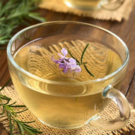 tisane pour retrouver le tonus