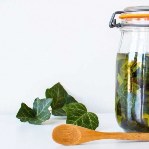 Faire ses macérâts huileux de printemps