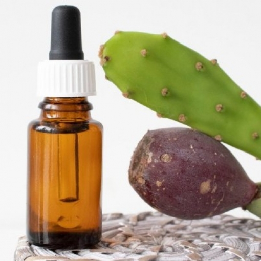 Oogcontour met cactusvijg