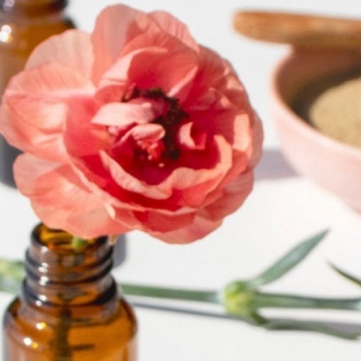 Accueillir l’été en se reliant au rythme des fleurs