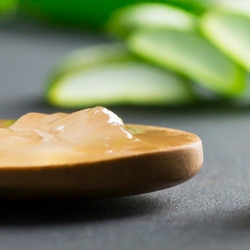 Fabriquer son gel d'aloe vera à la maison