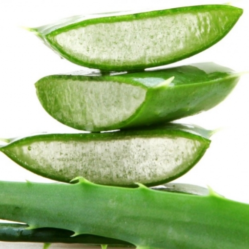 Comment utiliser le gel d'aloe vera bio?