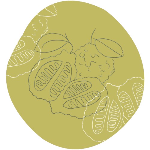 Bergamot