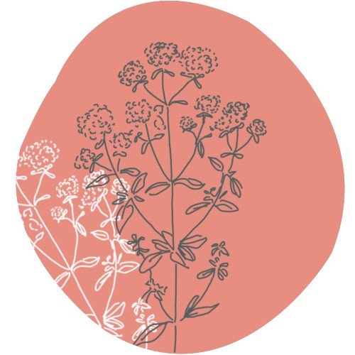 Oregano