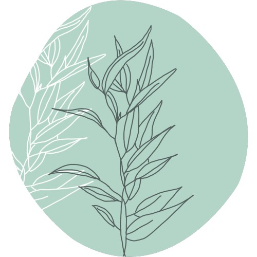 Eucalyptus globulus bio