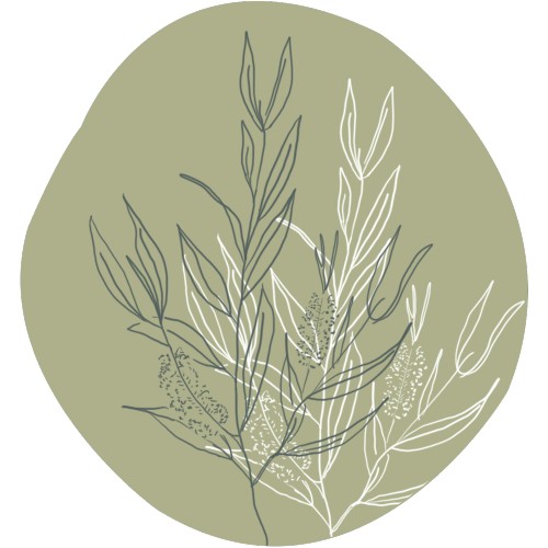 Tea tree (Australië)