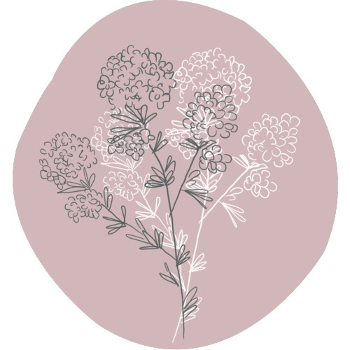 Fragonia